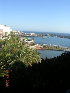 DSCN8998