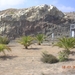 DSCN9084