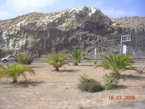 DSCN9084