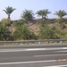 DSCN9092
