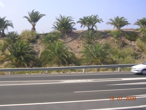 DSCN9092