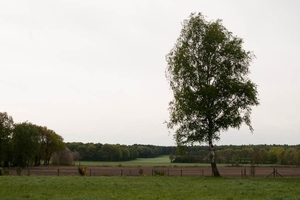 06052010-Schoot-031