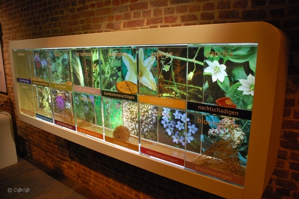 2010-05-07 ST KAT WAVER (103)