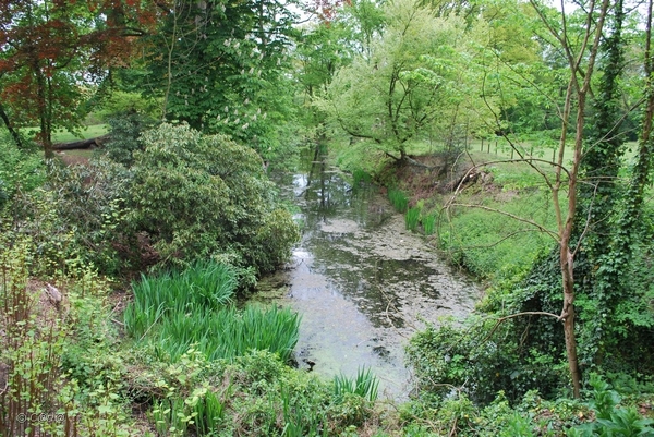 2010-05-07 ST KAT WAVER (20)