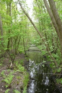 P1060176
