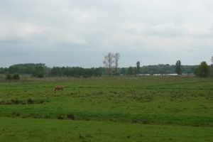 P1060200