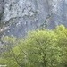 2010_05_08 Dinant 047 Freyr