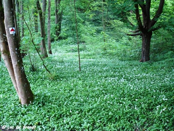 Ardennen wandeling Dinant