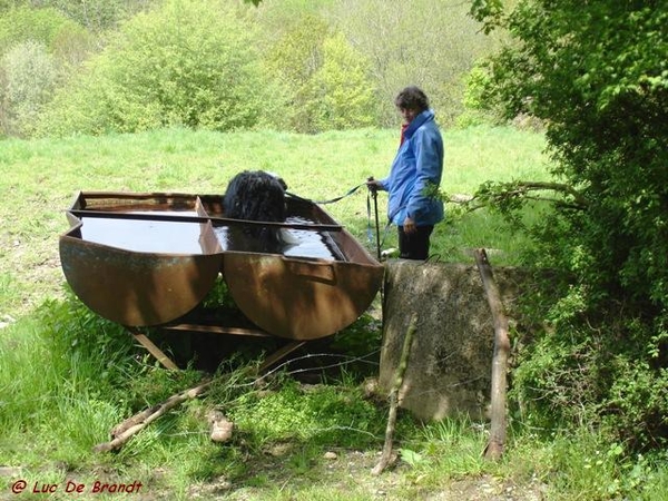 Ardennen wandeling Dinant