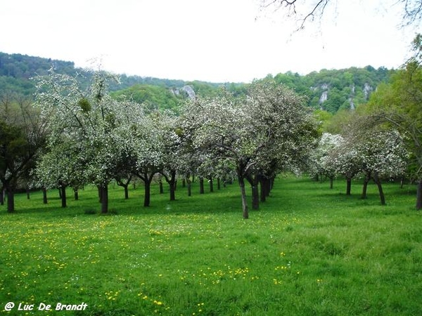 Ardennen wandeling Dinant