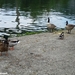 2010_05_08 Dinant 121