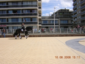 DSCN2243
