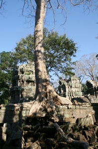 Ta Prohm