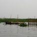 Onderweg op de rivier naar Battambang