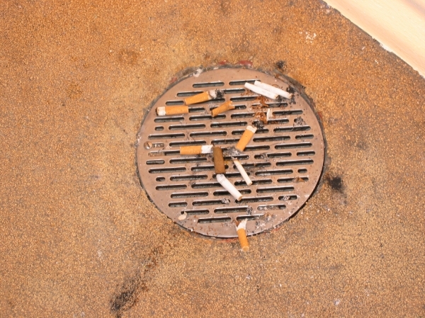 MSC Armonia 2008 258