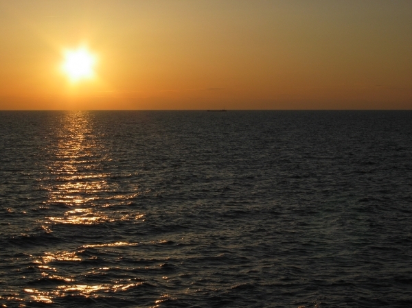 MSC Armonia 2008 259