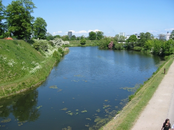 MSC Armonia 2008 286