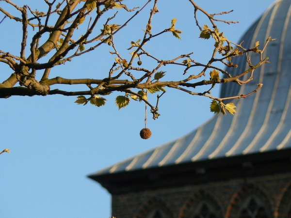 Denemarken 1 Pan 011