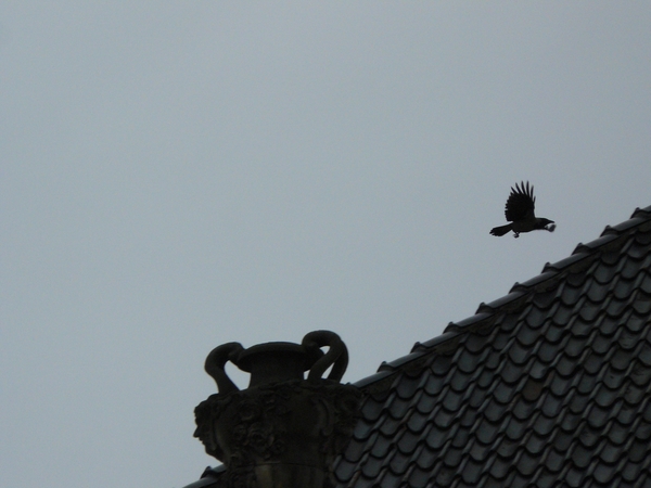 Denemarken 1 Pan 346