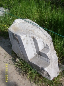 S4200036