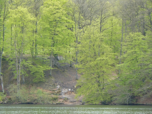 Denemarken 2 Pan 077