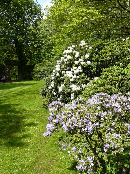 Denemarken 2 Pan 197