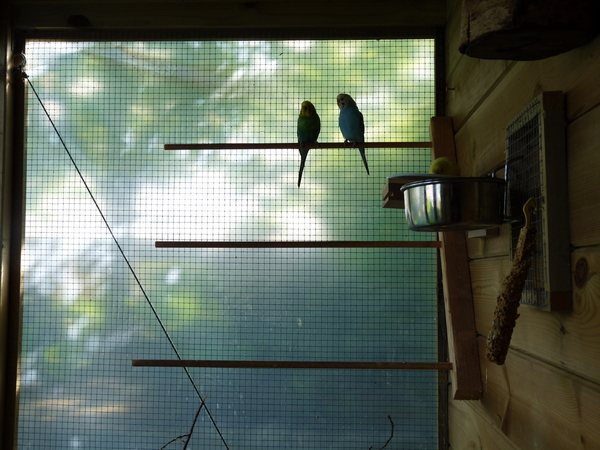 flipke,wolkje en rietje