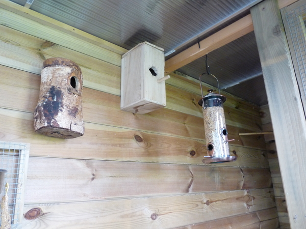 nestkastjes en voederbakje