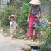 Vietnam 11-27.03.2010 040