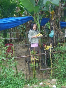 Vietnam 11-27.03.2010 567
