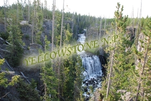 Yellowstone