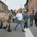 WEDSTRIJD VOOR PAARDEN