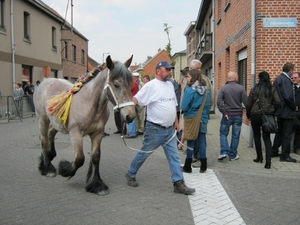 WEDSTRIJD VOOR PAARDEN