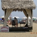DSCN6198