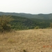 DSCN6227