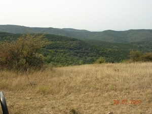 DSCN6227