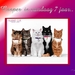 Presentatie1_pptsweet%20cats