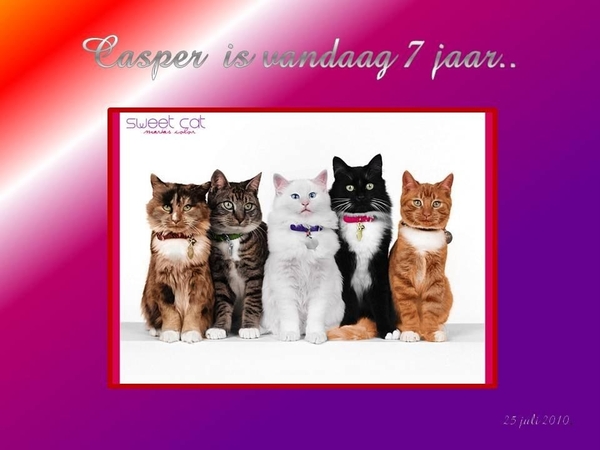 Presentatie1_pptsweet%20cats