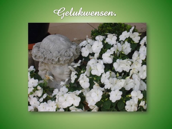 Presentatie1_pptGelukwensen%20vlijtige%20liesjes