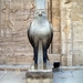 DSCF1189