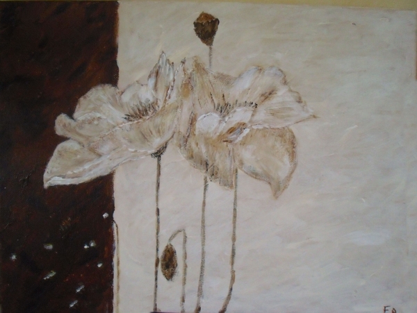 femke sf 002