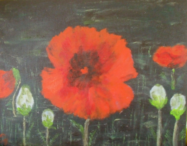 femke sf 005