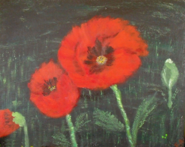 femke sf 006