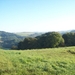 Image00005
