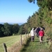 Image00008