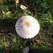 Image00015