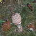 Image00016