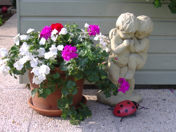 kleurenpracht aan mijn tuinhuis met kindjes.