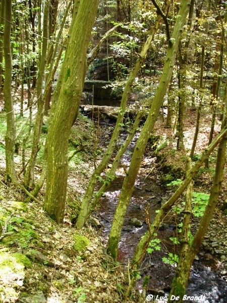 Ardennen wandeling Nismes