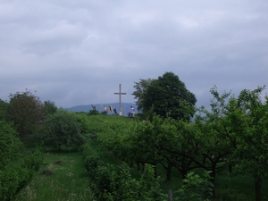 DSCF3046
